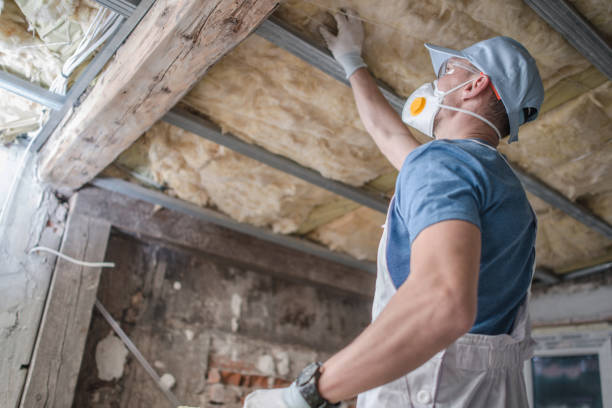 Best Specialty Insulation in Chickasaw, AL
