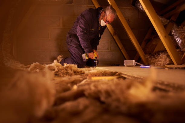 Best Insulation Installation Services in Chickasaw, AL